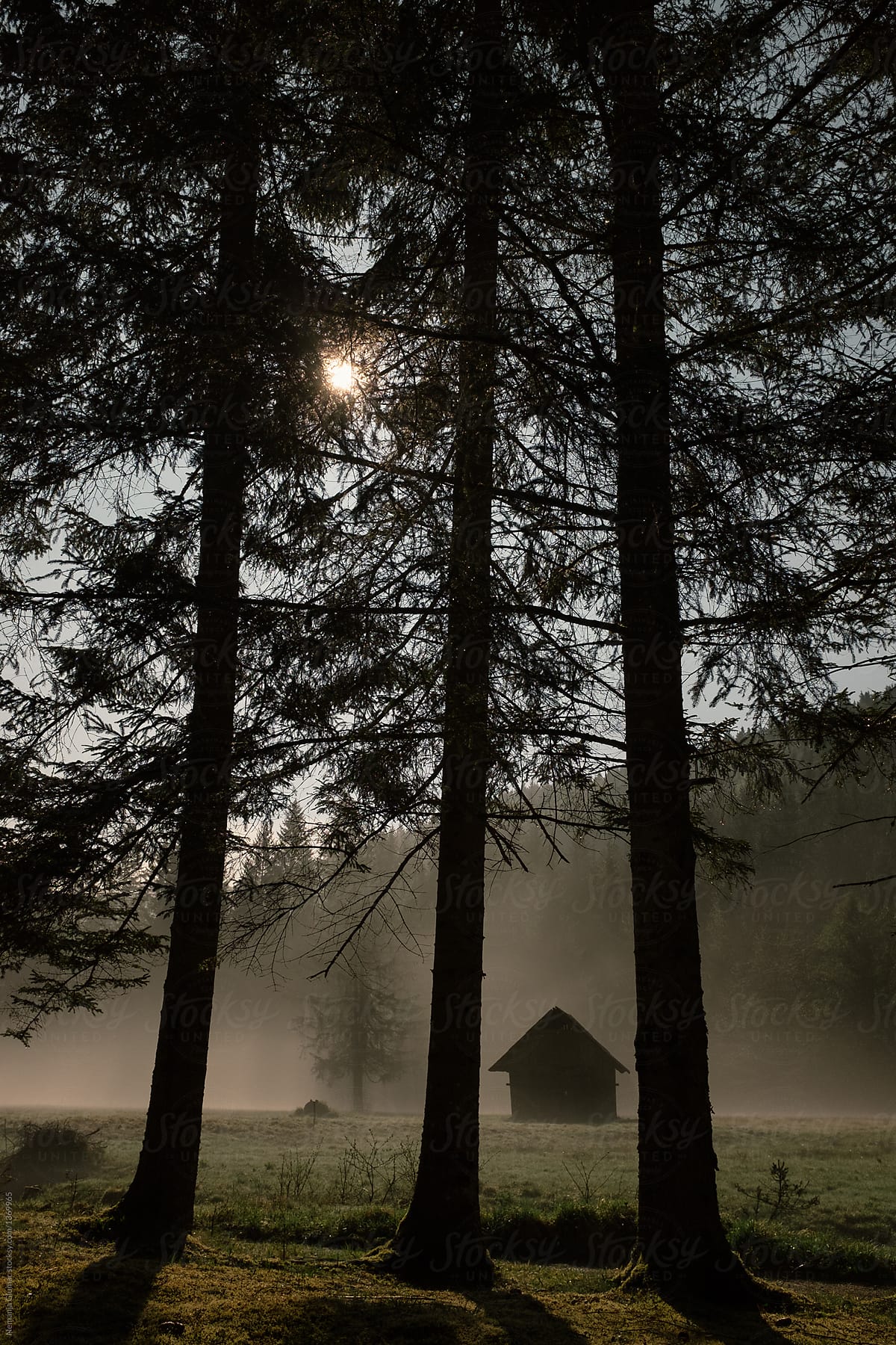 Tiny Wooden Cabin Covered in Mist