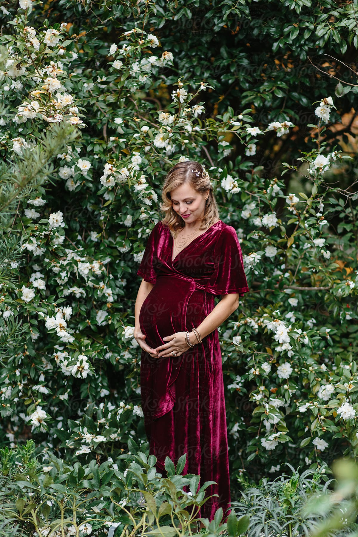 Beautiful Pregnant Woman In A Velvet Dress Standing In Front Of A Flowering Bush Del 