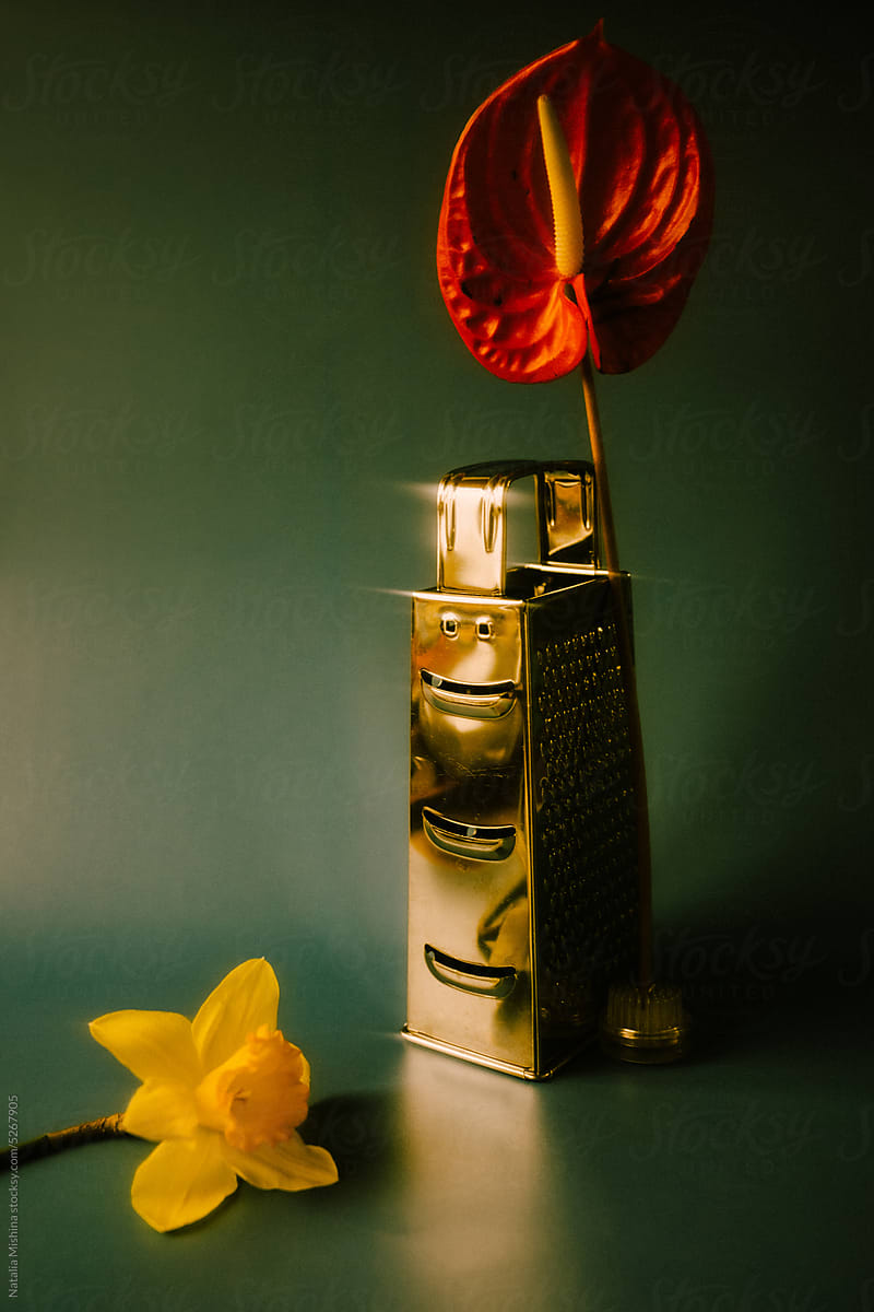Art still life with a kitchen grater and flowers.