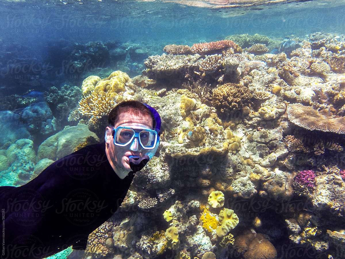 man snorkeling on the Great Barrier Reef