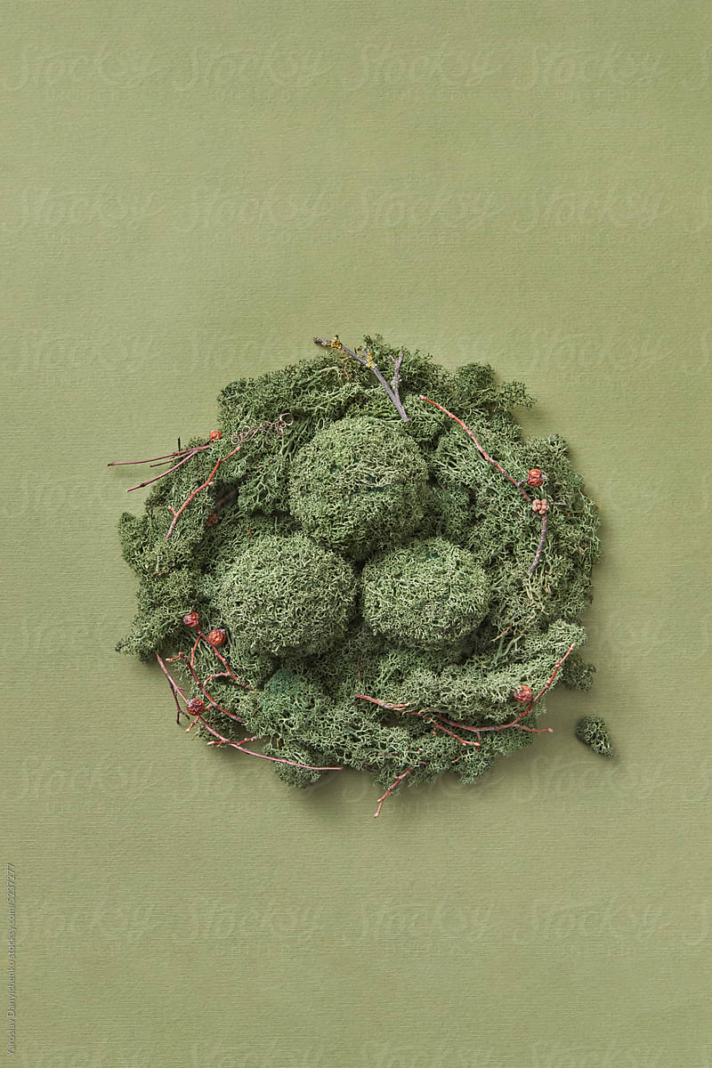 Handicraft grassy Easter eggs in green moss nest.