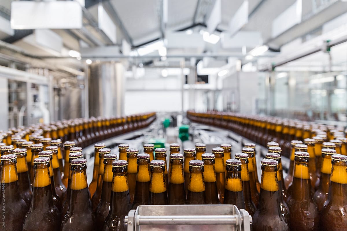 Closeup of full beer bottles on a factory conveyor