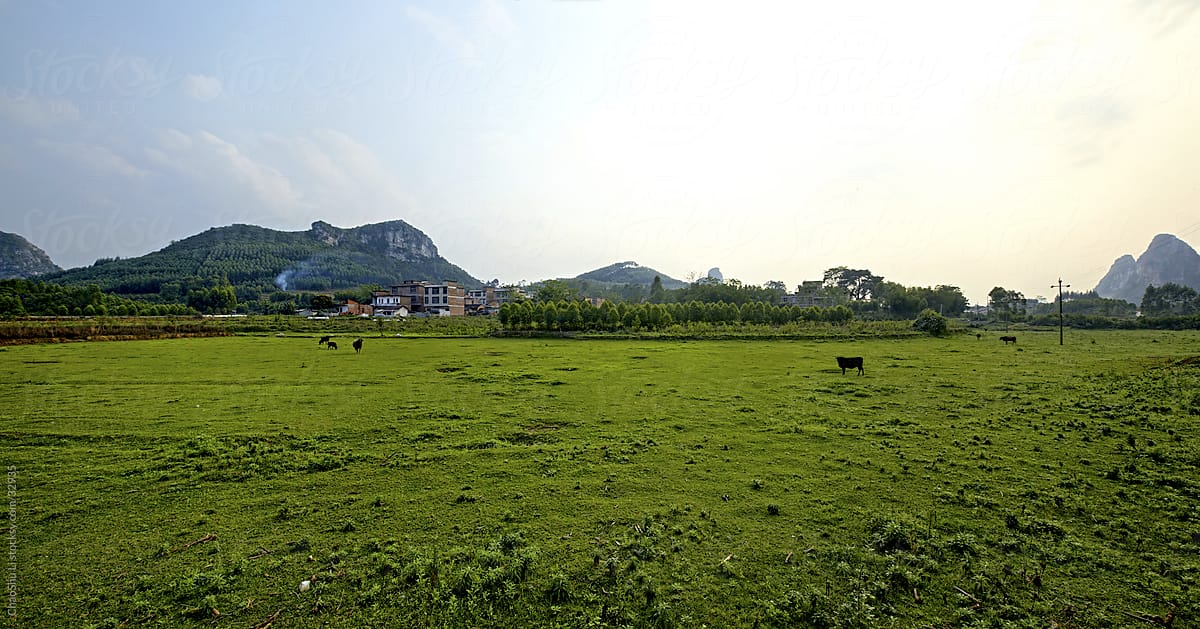 Natural green countryside scenery