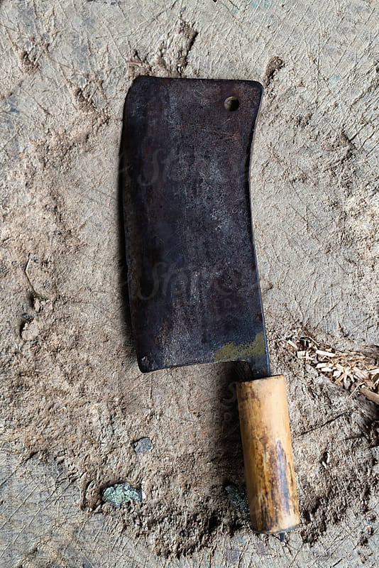Old cleaver on a tree trunk