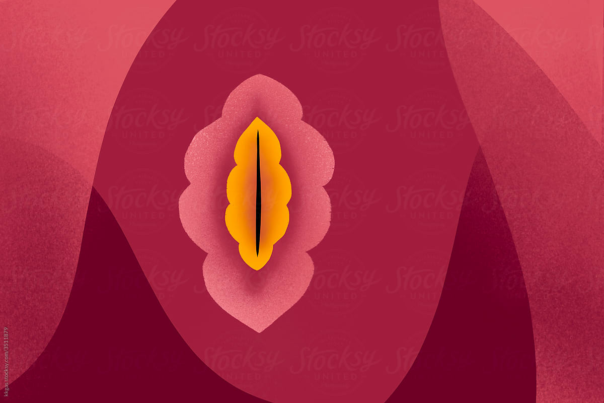 Vulva illustration