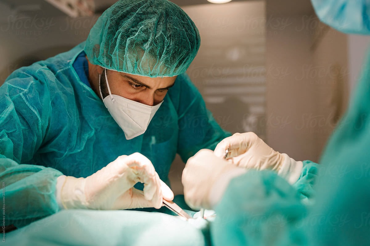Veterinarian providing operation to pet patient