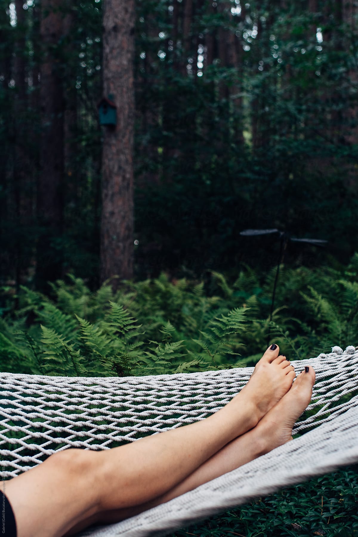 Women\'s legs lounging in a hammock in a forest