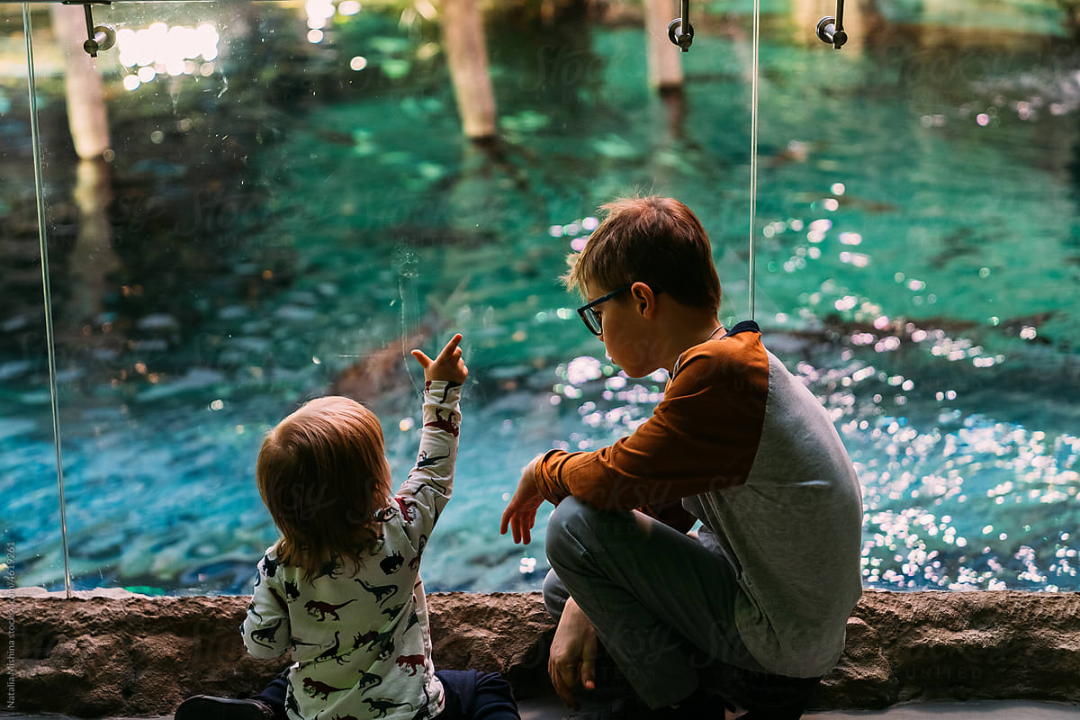 Children in the aquarium.