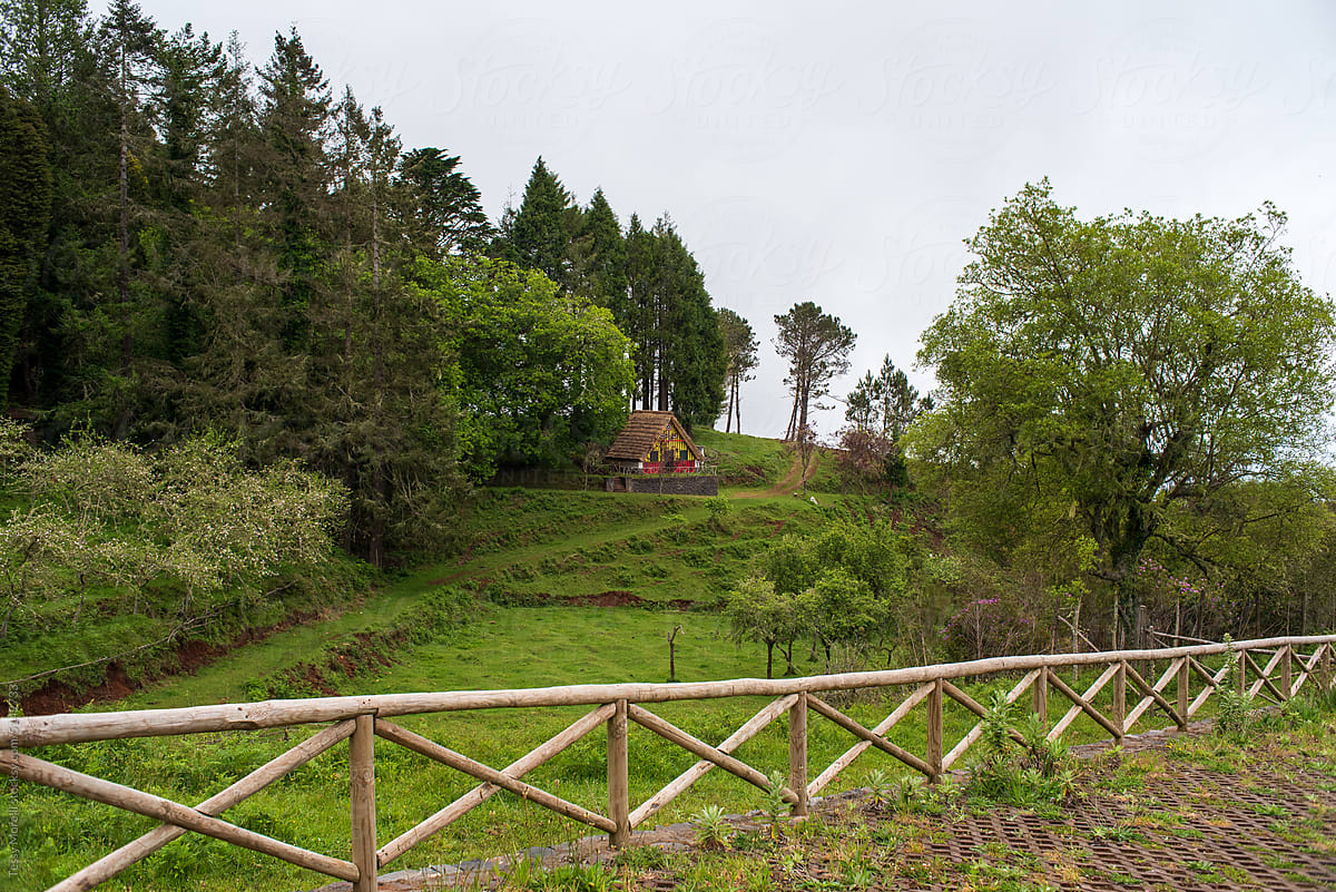 Madeira vallery with countryside property