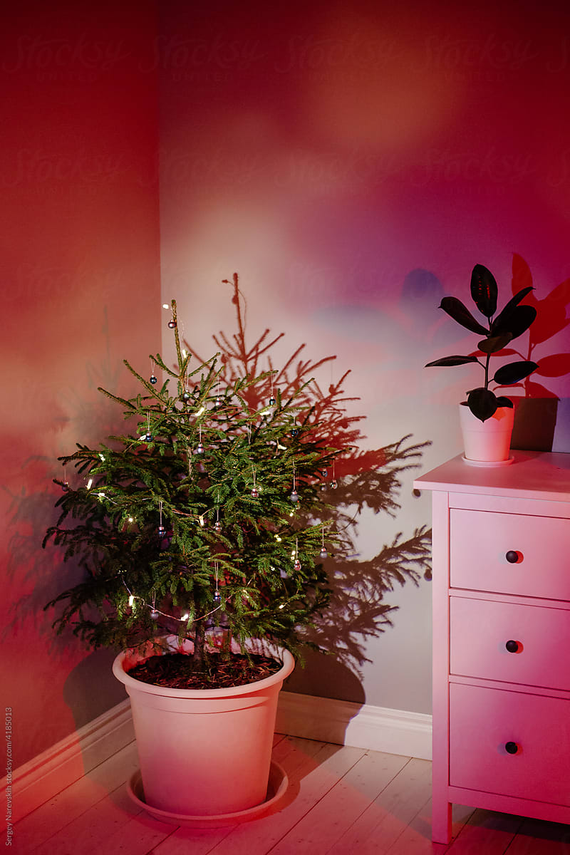 Potted decorated Christmas tree
