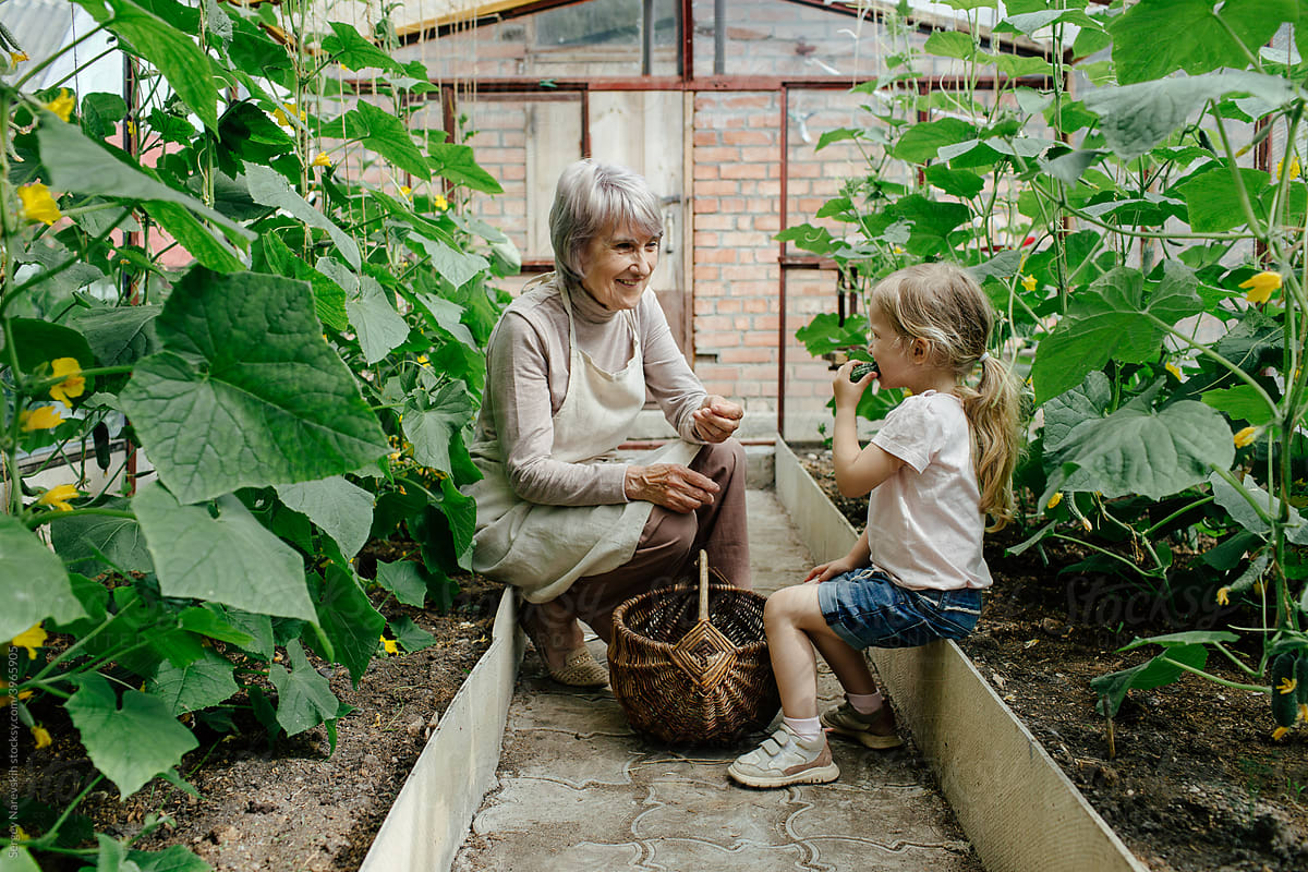 Cheerful granny and granddaughter in glasshouse