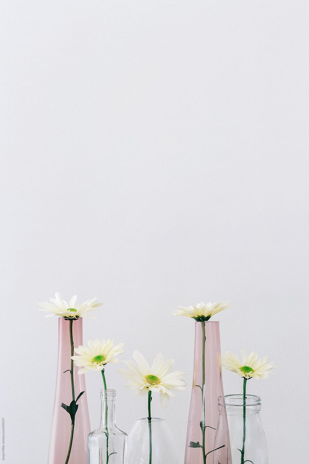 Collection of glass vases and bottles with a single daisy flower in each, with copyspace