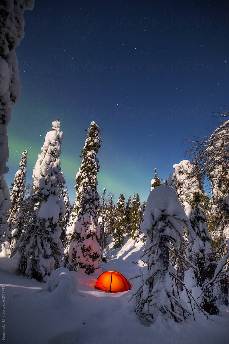 Tent in the winter forest