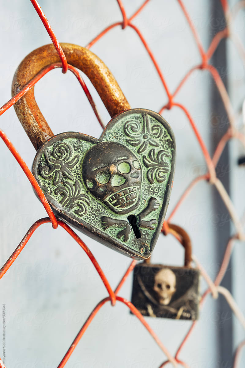 Love Locks:  Till Death Do us Part Relationship Love Concept