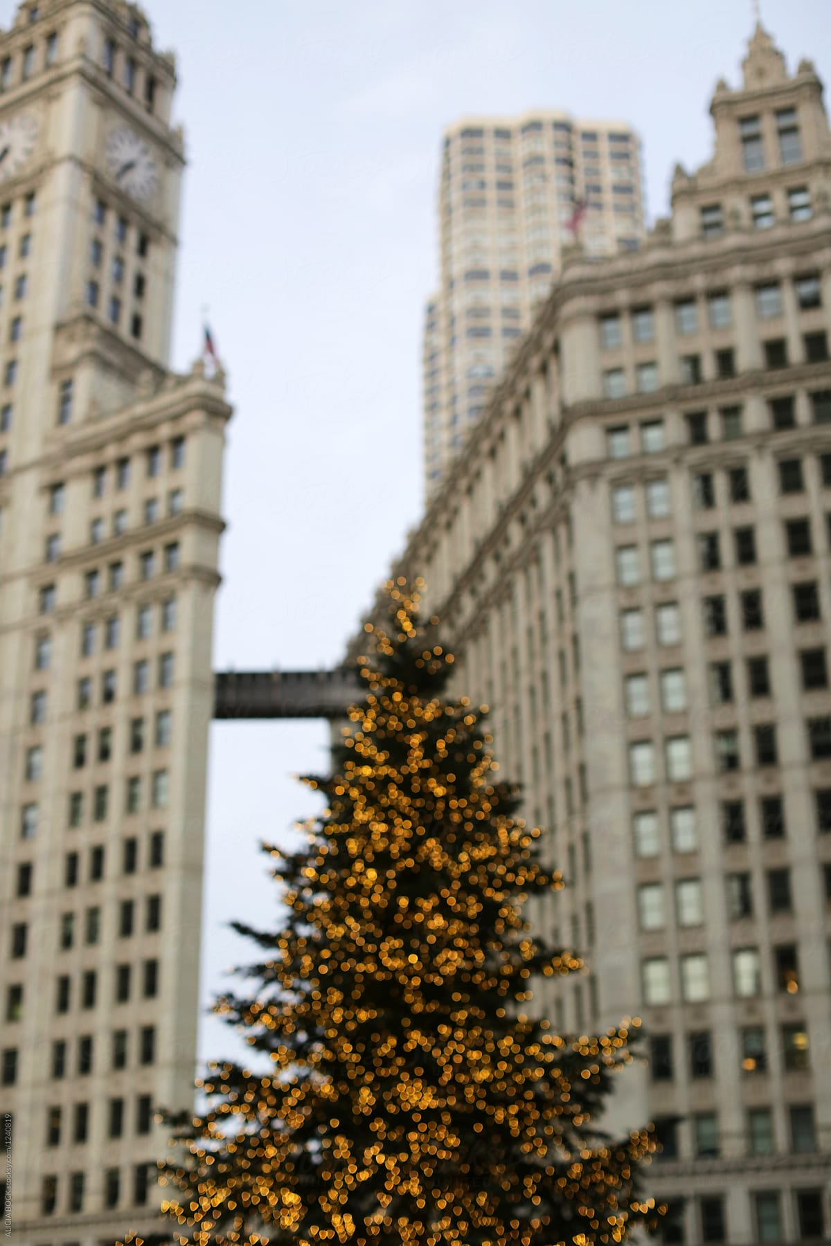 "A Christmas Tree Filled With Sparkling Lights In Downtown Chicago