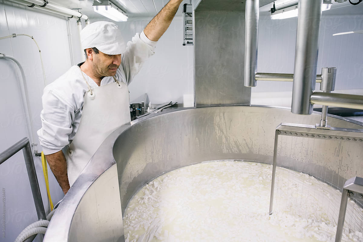 Man seeing after cheesemaking process