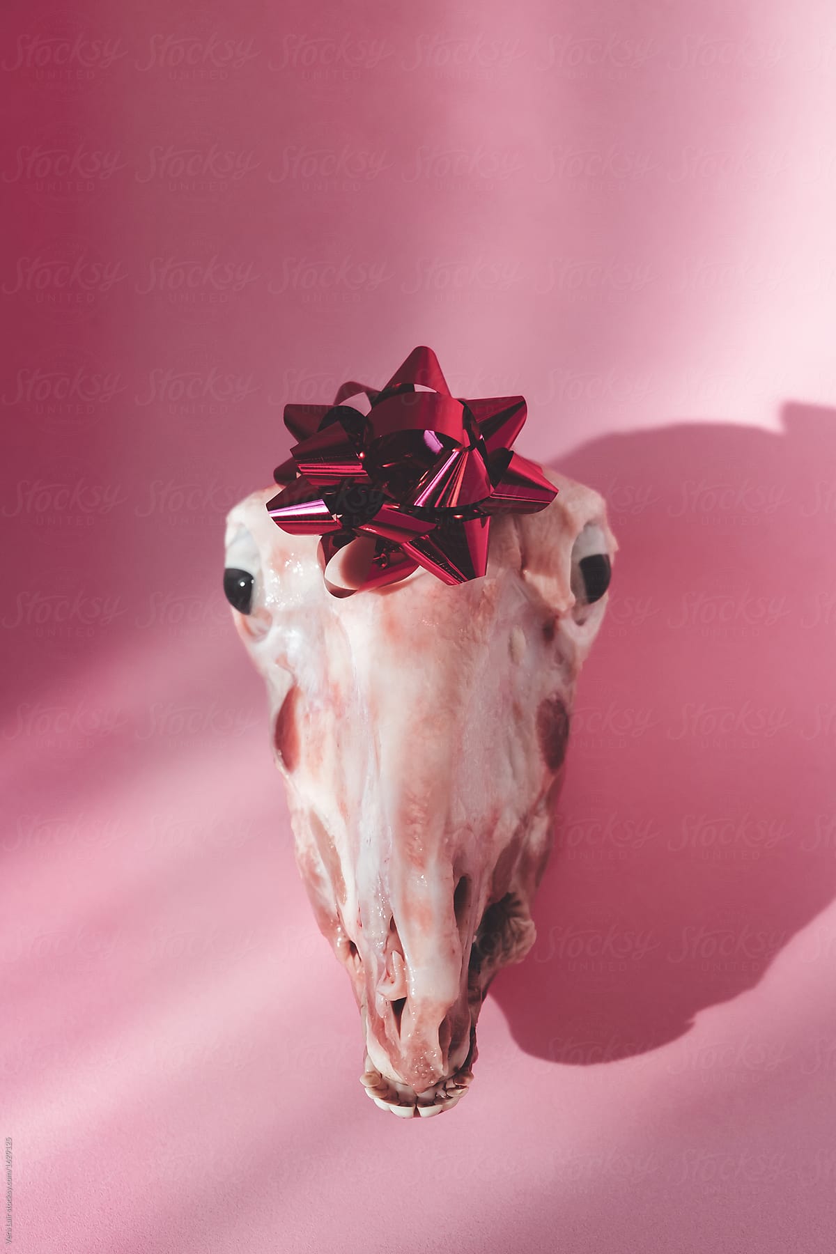 Sheep head with a gift decoration