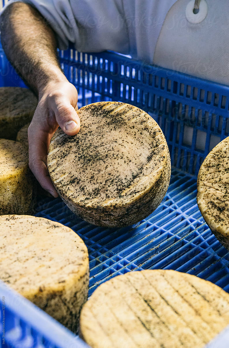 Crop male worker in cheese storage