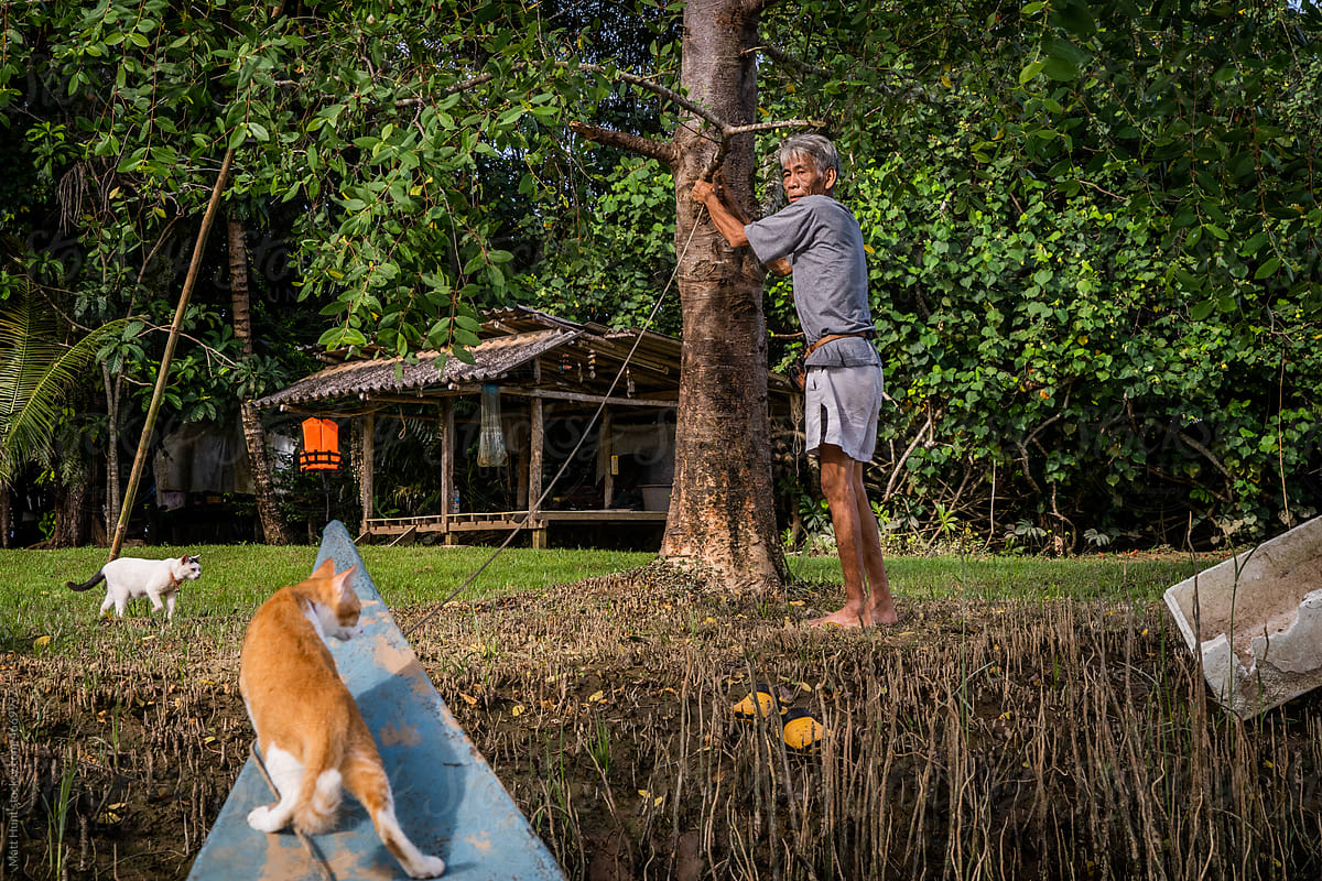 A fisherman ties up his boat to a tree