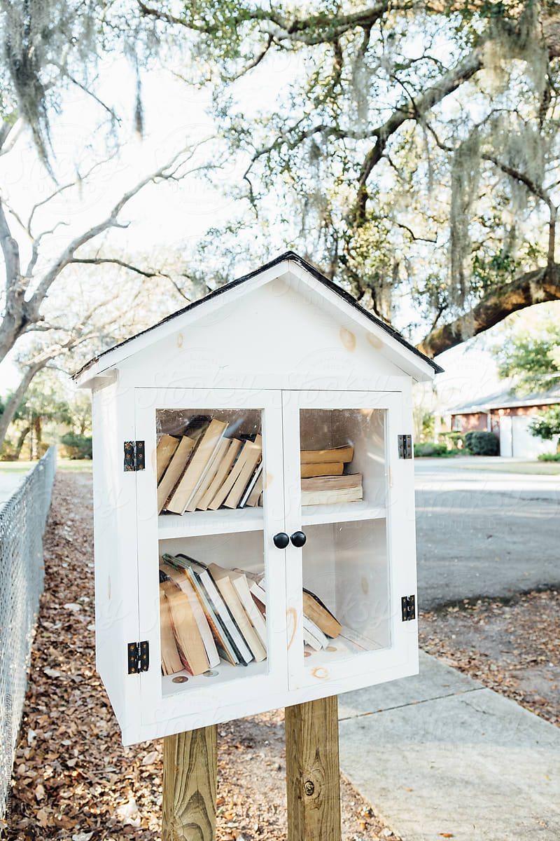 Little Neighborhood Library