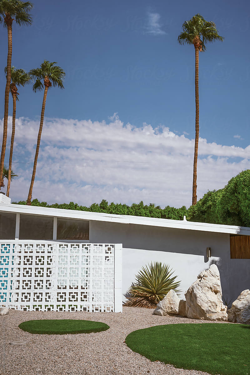 mid-century modern landscape design with palm trees