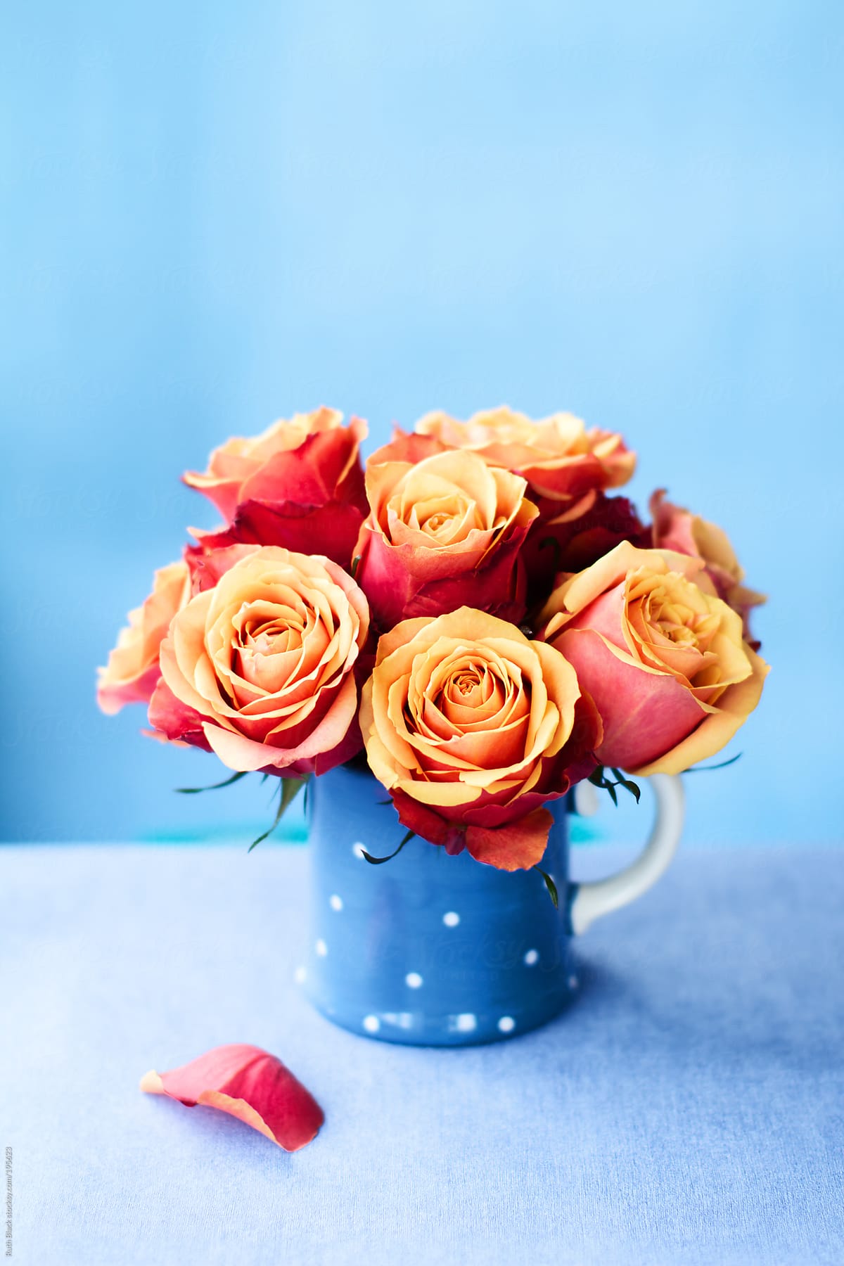 Orange roses in a blue mug
