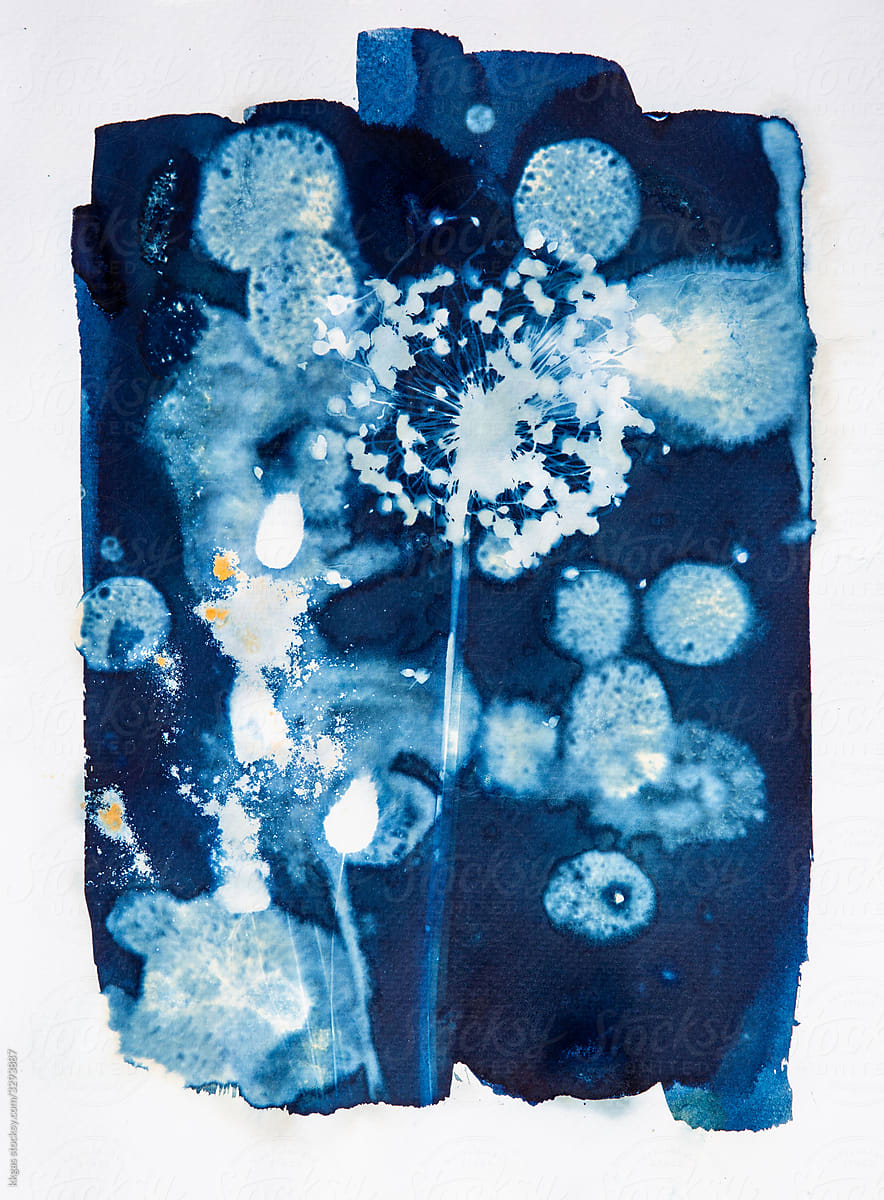 Wet cyanotype print