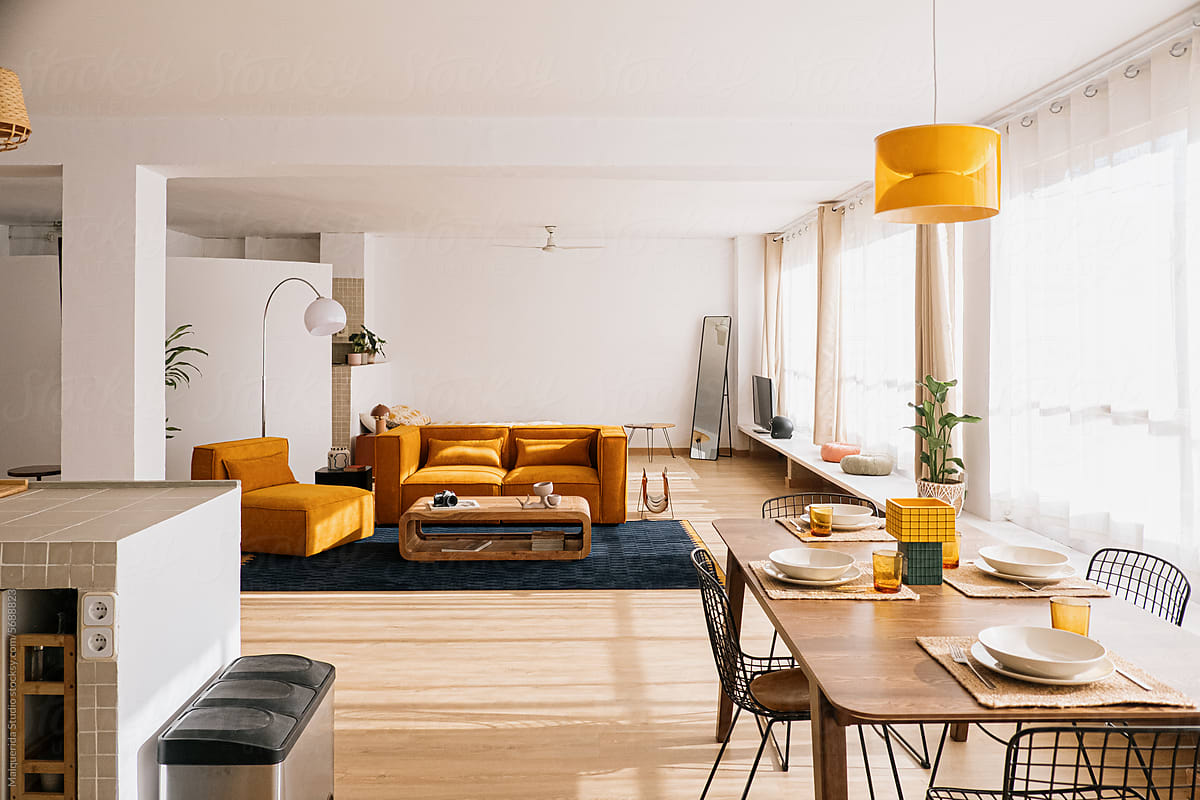 Cozy living room in modern apartment