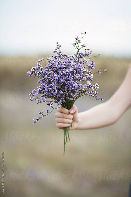 Female hand holding flower bouquet by Jovana Rikalo - Stocksy United