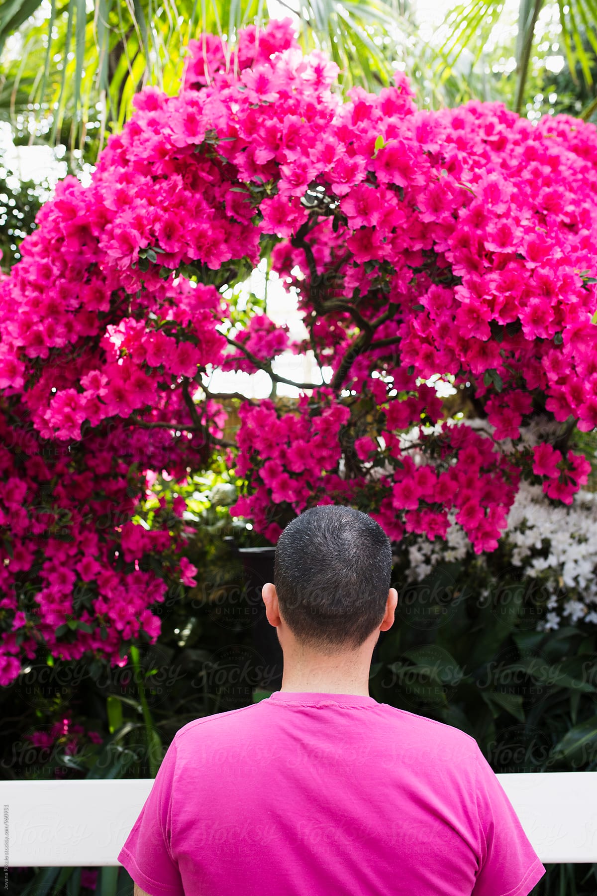 Back view of a man wearing a pink shirt and pink flowers
