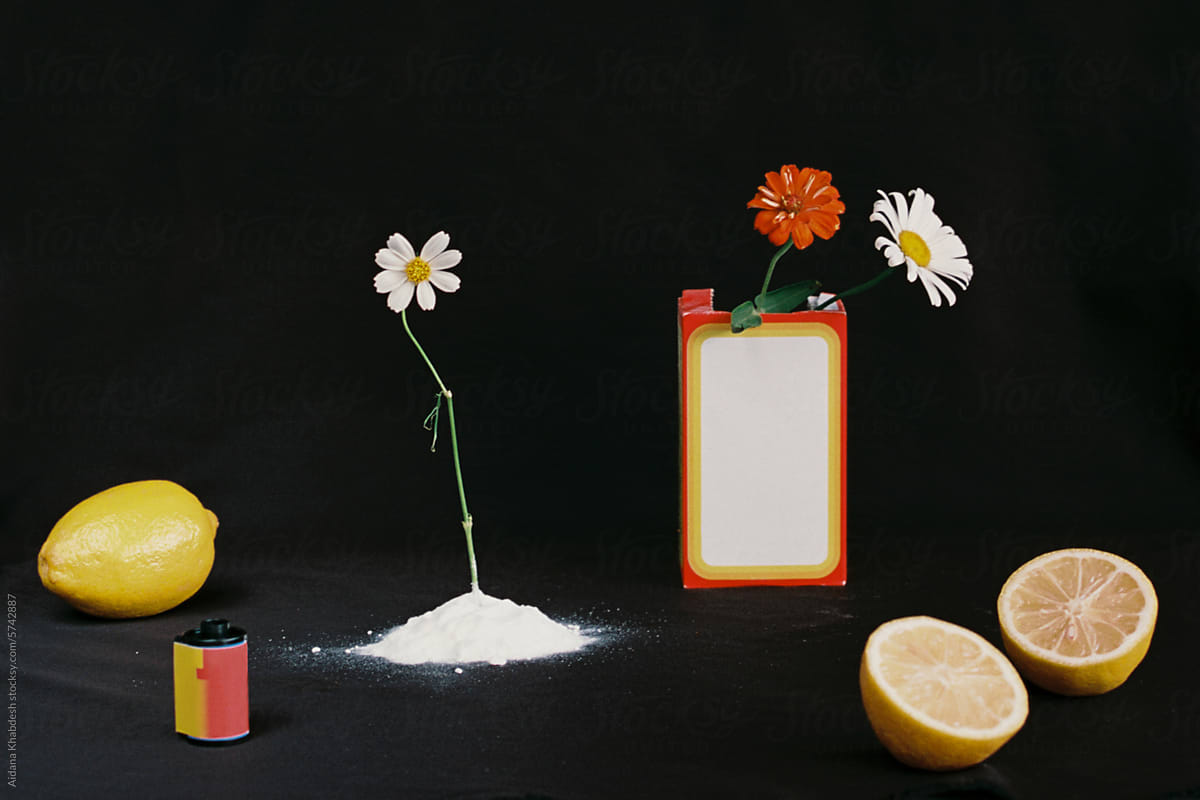 Still life photo of flowers, baking soda, lemons and film roll