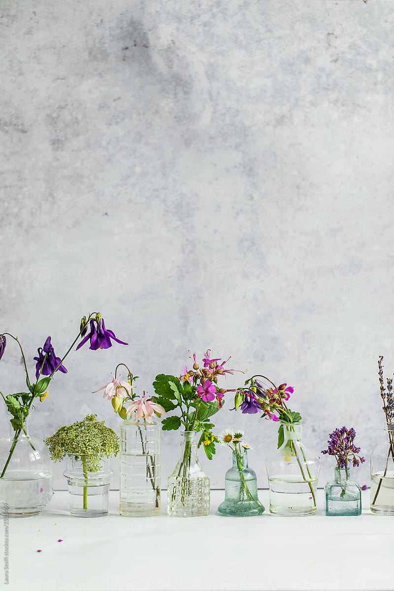 A collection of spring wildflowers inside glass bottles and vases with water and lot of copy space