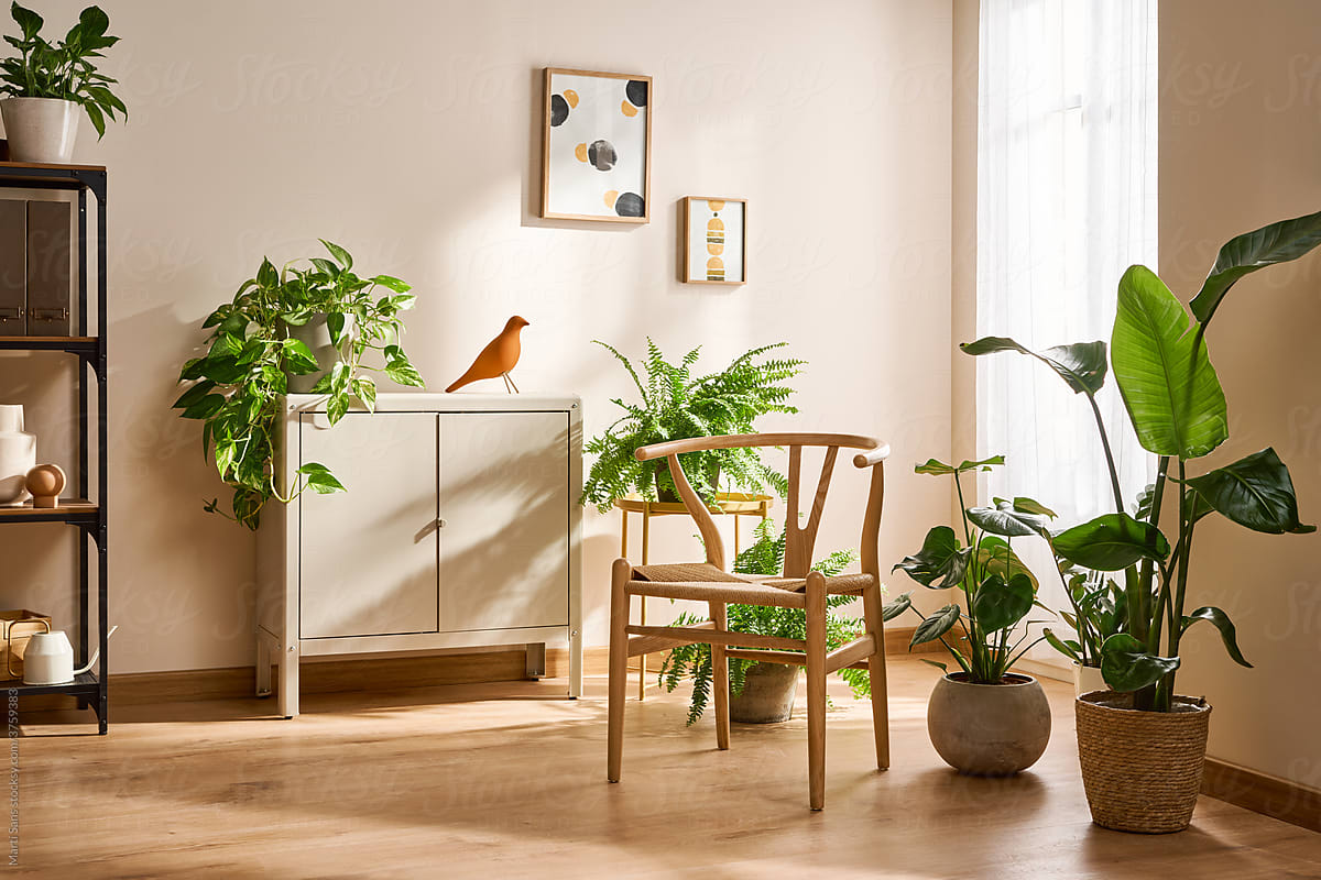Cozy room with houseplants and wooden furniture