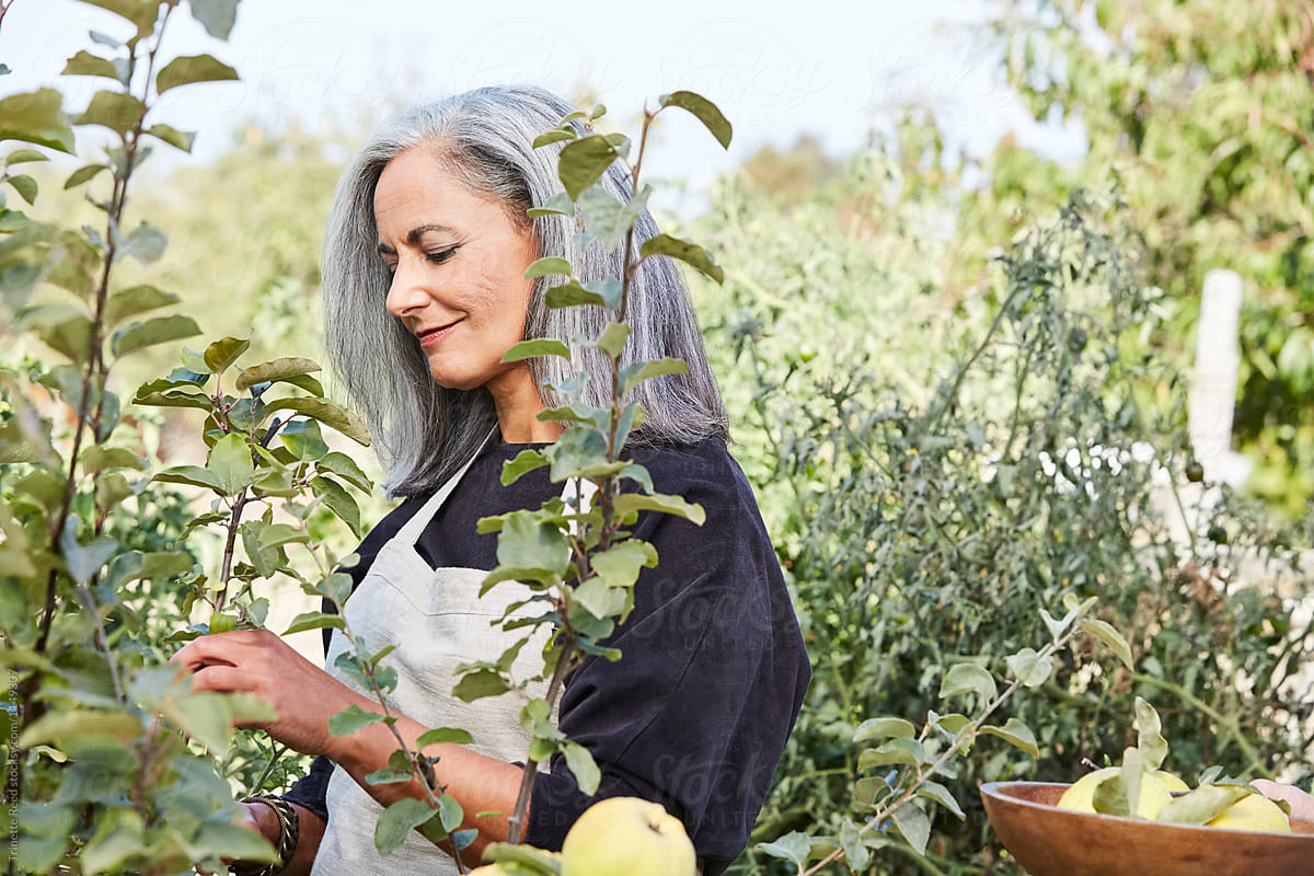 Beautiful senior woman with grey hair gardening in her garden