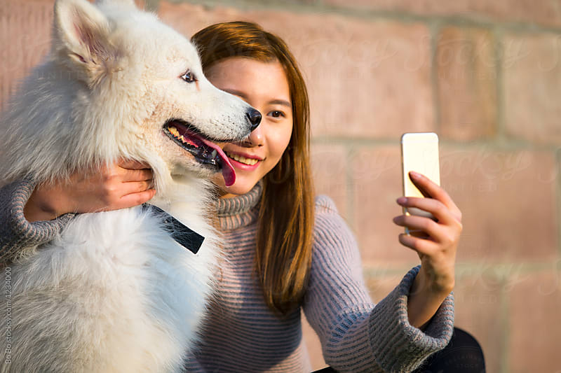 Young Woman with her White Samoyed Dog outdoor