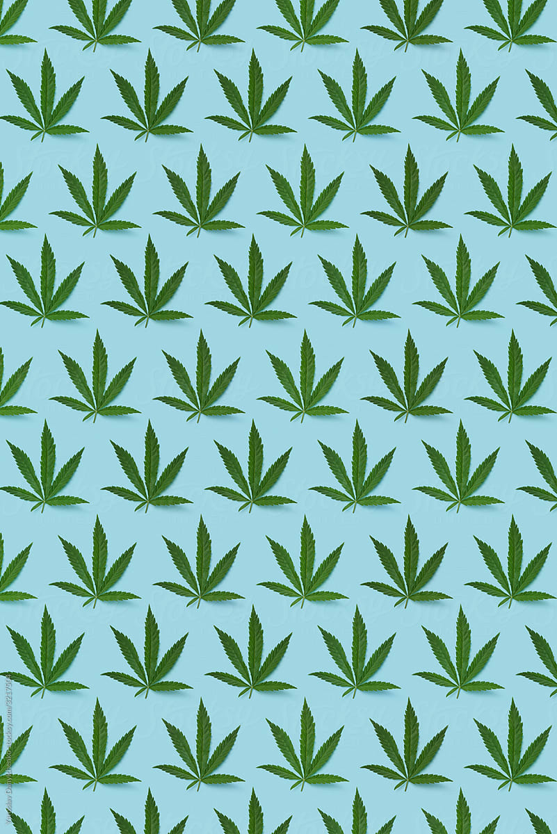 Natural marijuana plant pattern.