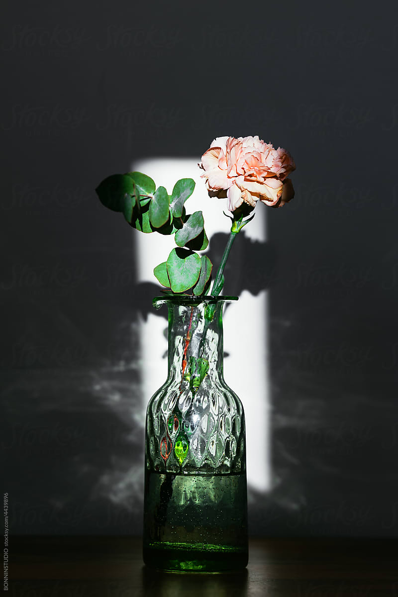 Blooming rose in vase on table in dark room