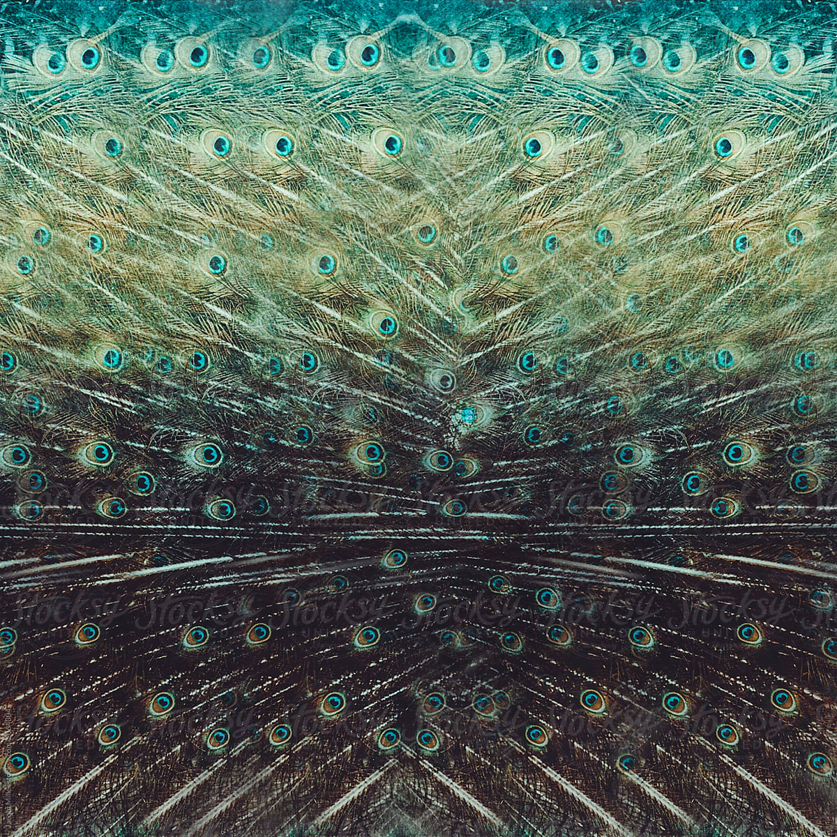 Abstract Peacock feather pattern