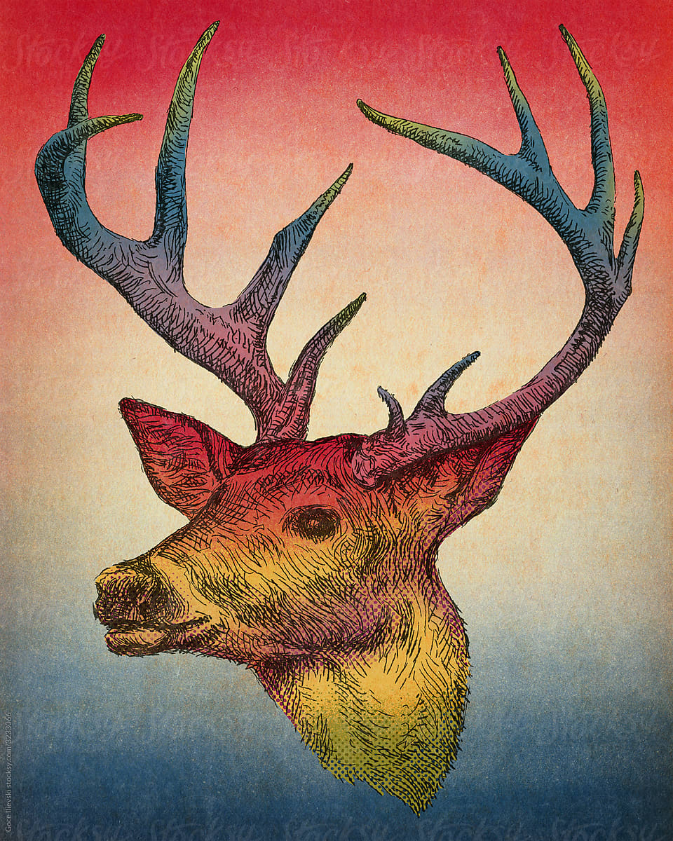 Deer Vintage Colorful Print Design