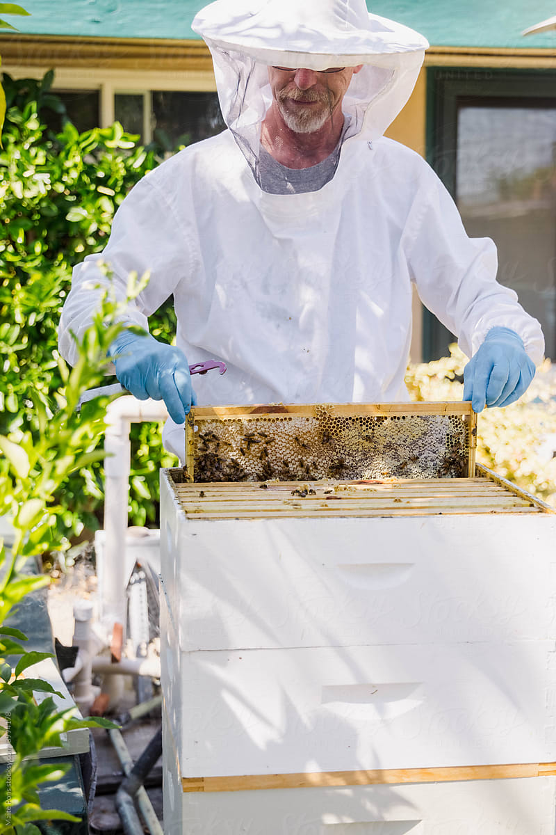 Bee Keeper and Hives