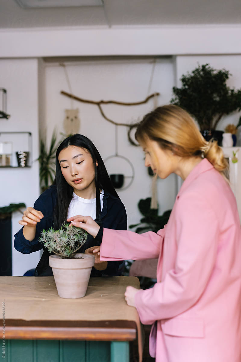Buyer choosing houseplant with skilled manager in garden market