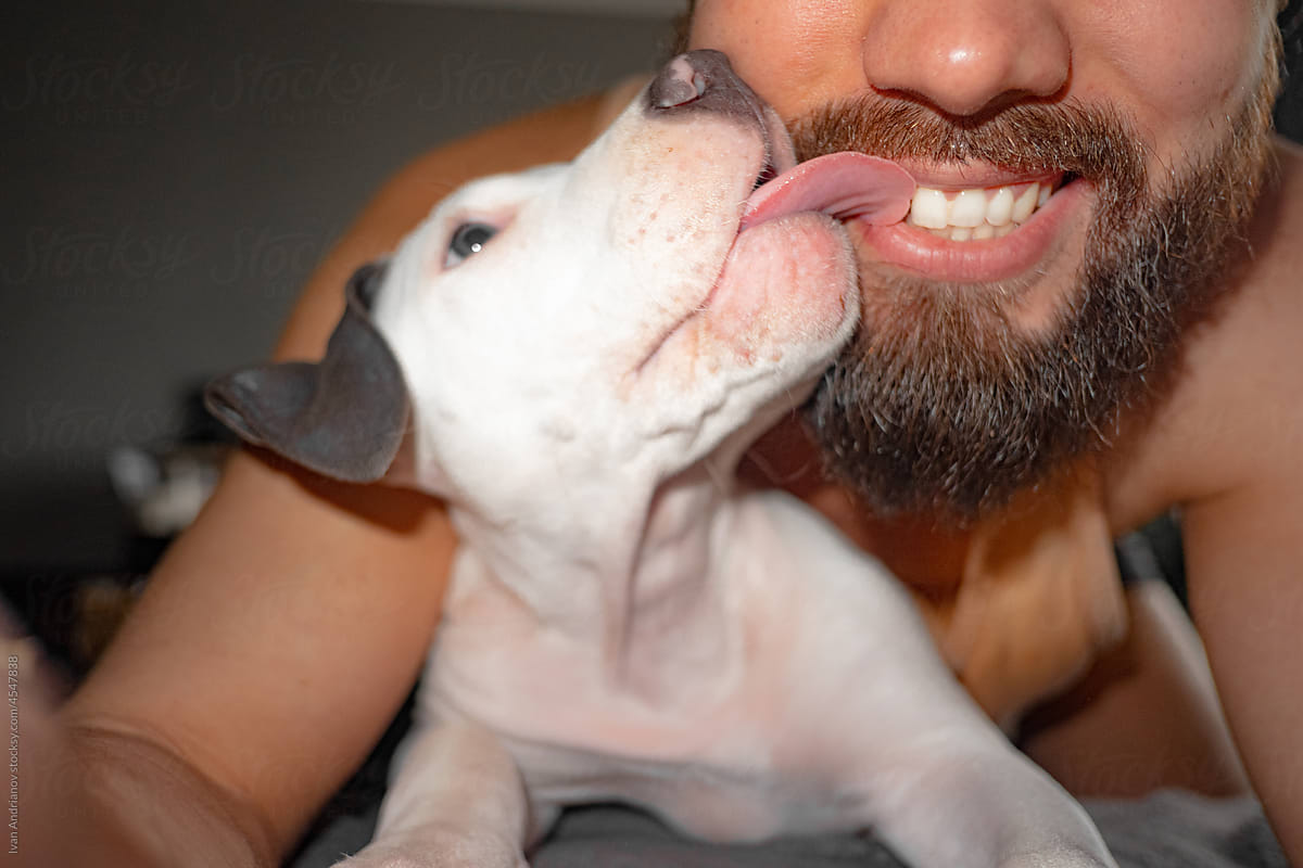 Puppy Kiss Human Friend