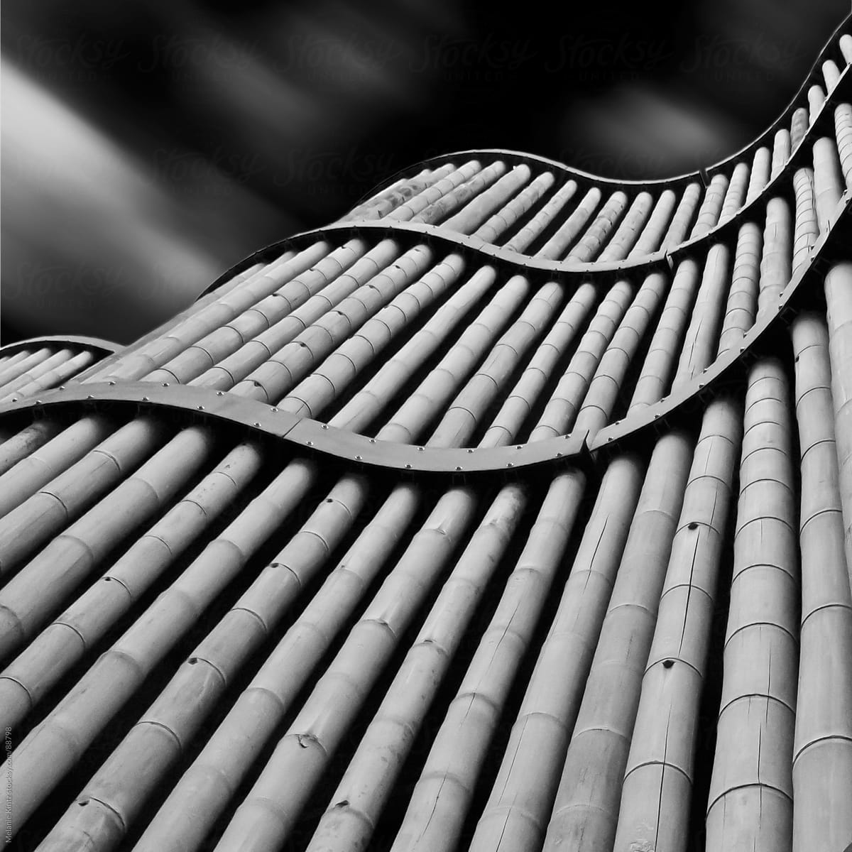 curved bamboo facade and sky