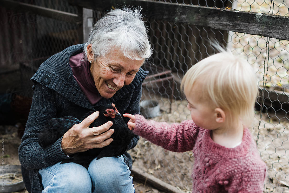 Grandmother showing granddaughter a chicken