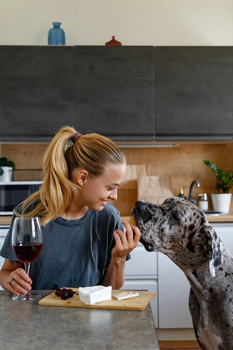 Happy woman with wine sharing cheese with dog