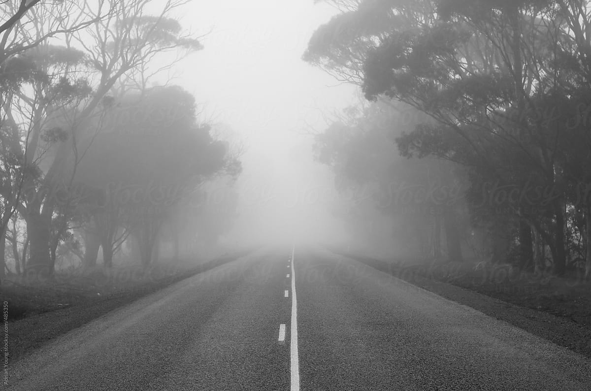 Road leading into the fog