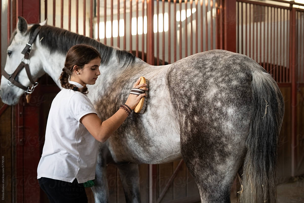 young woman brushing a horse