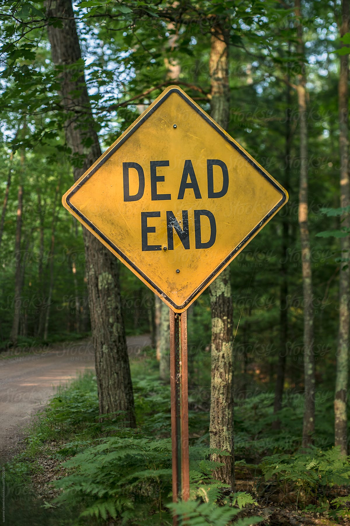 Dead End Sign In the Woods