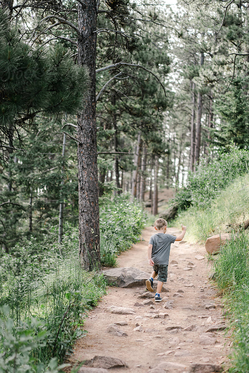 Little boy hiking up mountain trail