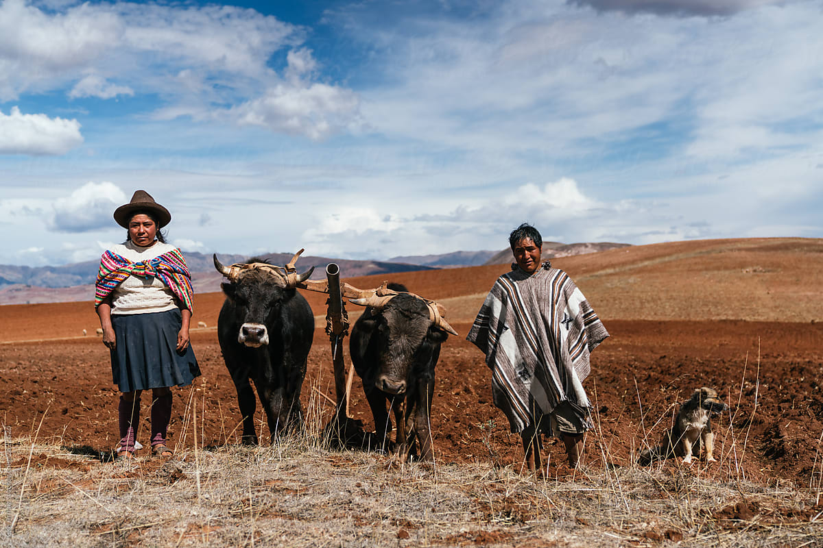 Peruvian couple farming